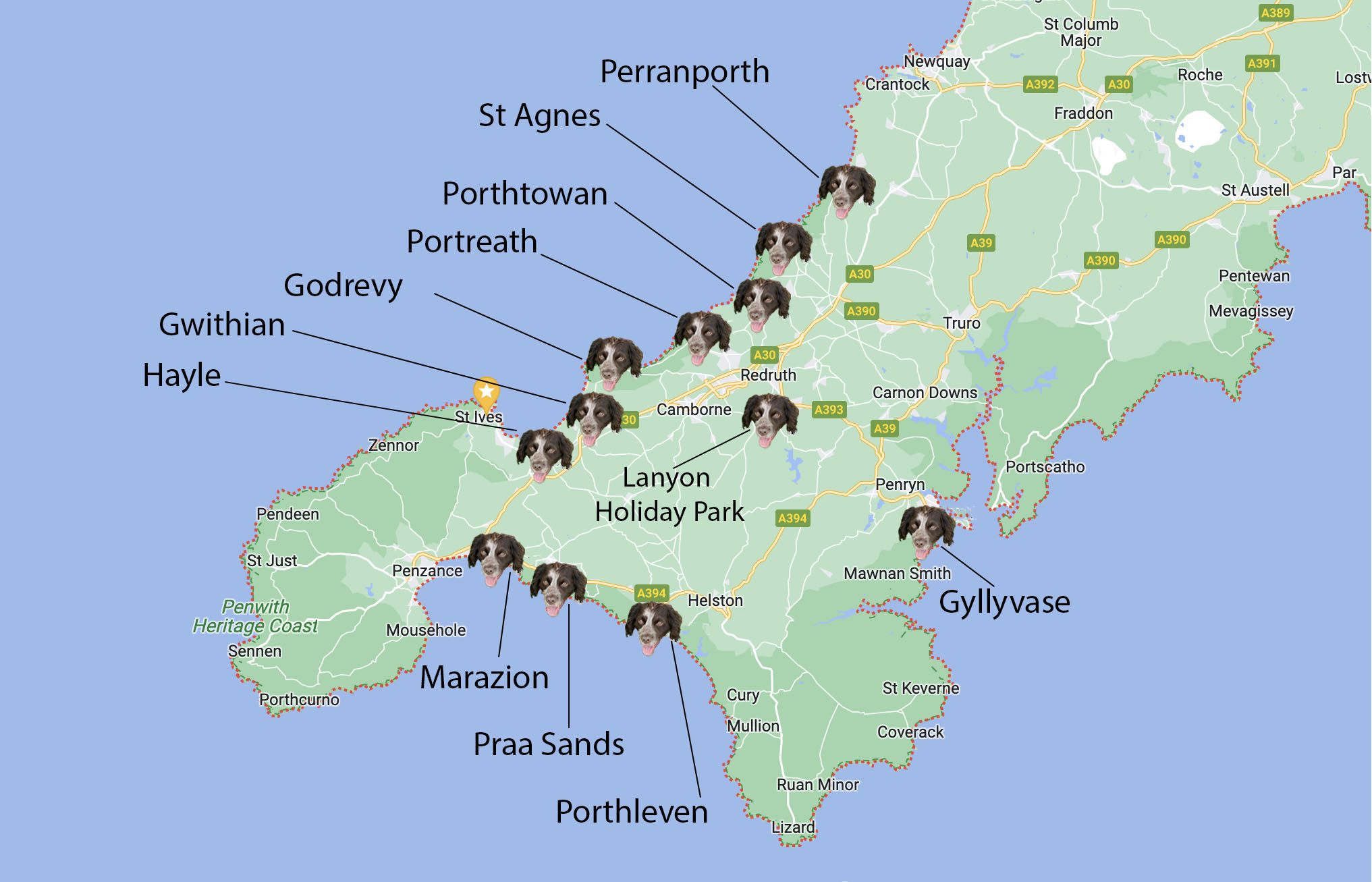 dog friendly beach guide map of Cornwall